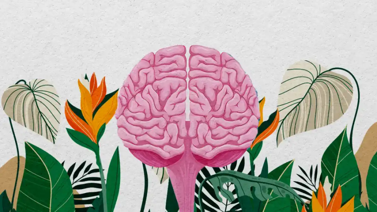 Understanding The Mental Healthcare Act 2017