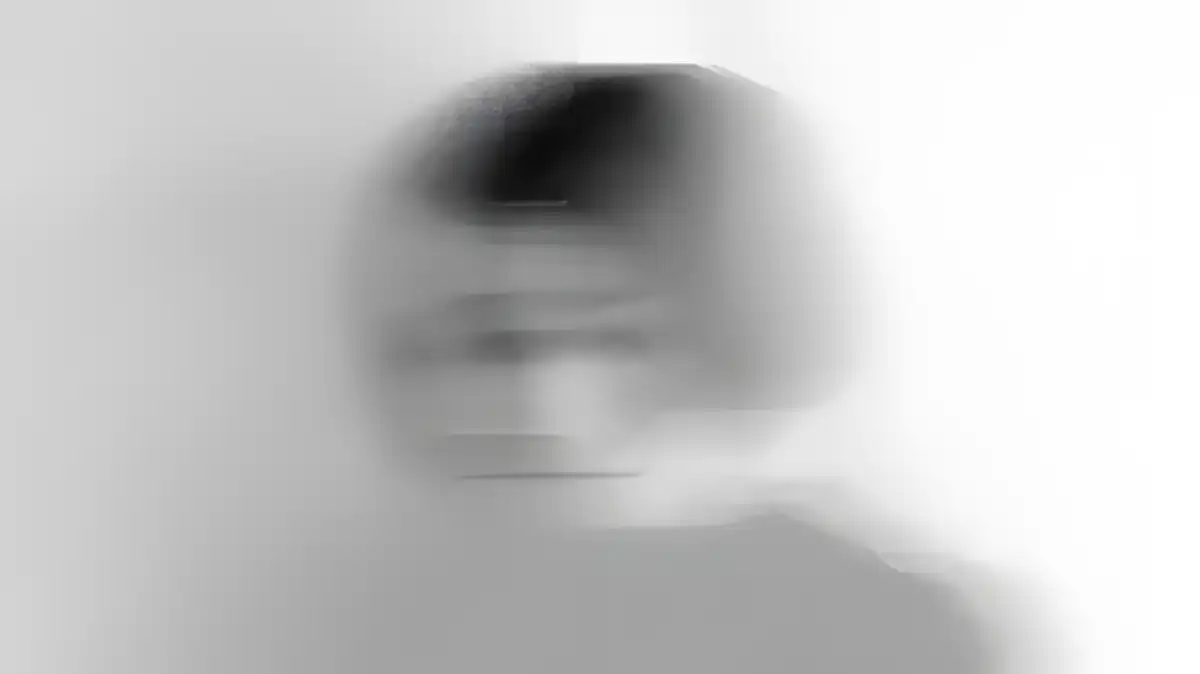 Understanding Numbness: The Psychology of Emotional Shutdown 1 The Psychology of Emotional Shutdown 2